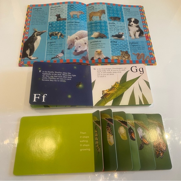 Bundle of 7 Toddler Animal Books - Picture 10 of 11